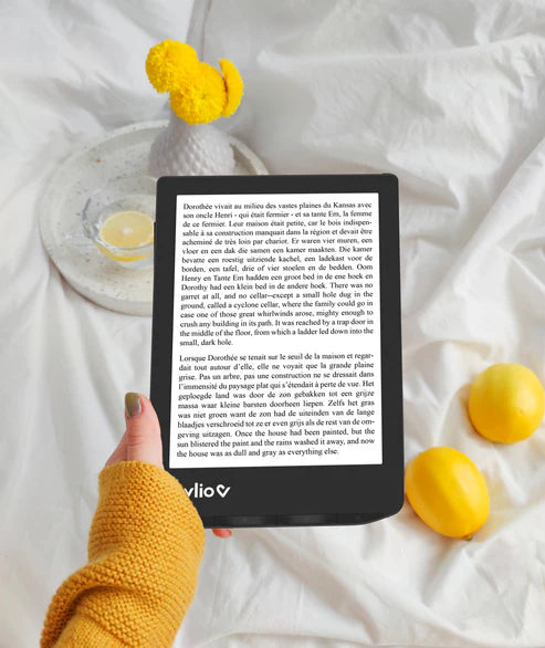 Liseuse InkPad 4 - Noire & grise